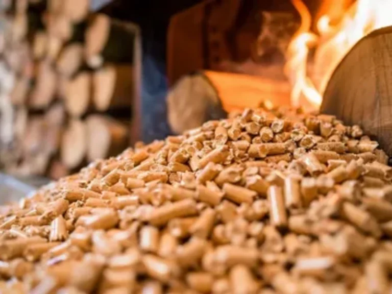 Wood Chip Pellet Machine: Transforming Forestry Residues into Reliable Biomass Fuel