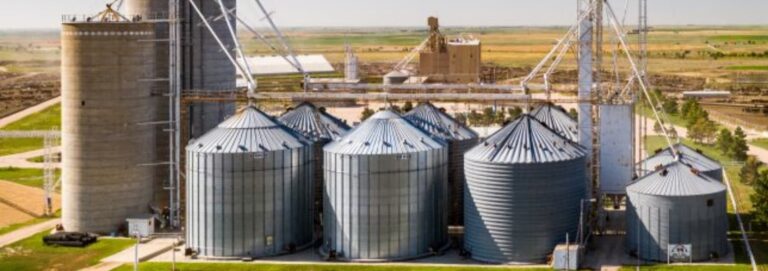 Germany Biomass Fuel Business Opportunities and Market Growth