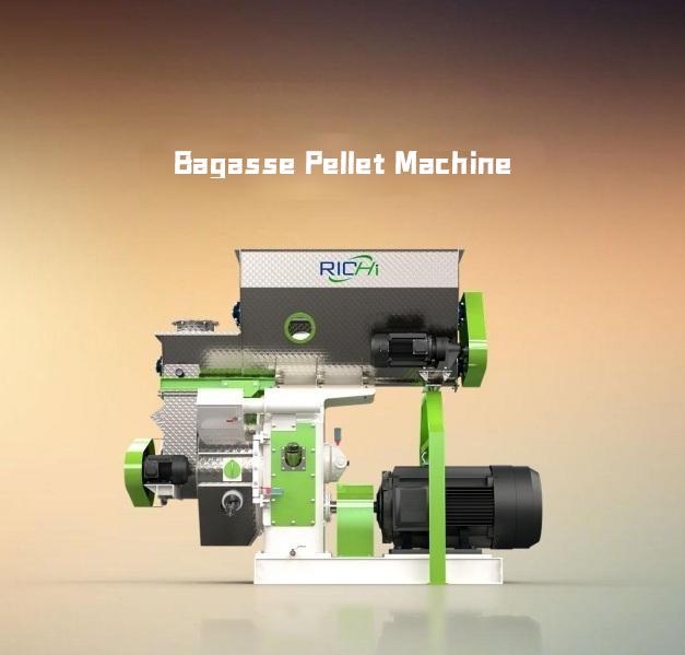 Sugarcane Bagasse to Biomass Fuel: Production Process