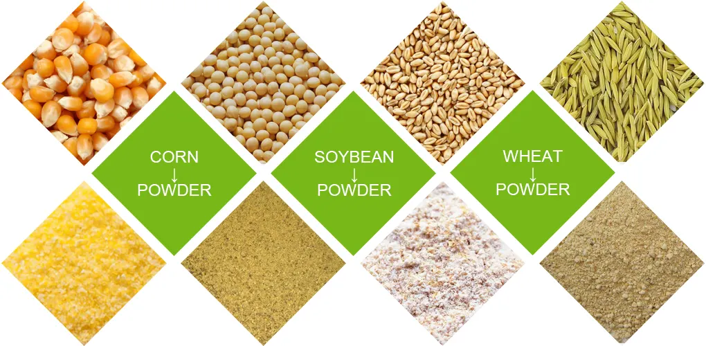 Various grain raw materials including corn, soybean and wheat powder used in cattle feed pellet production